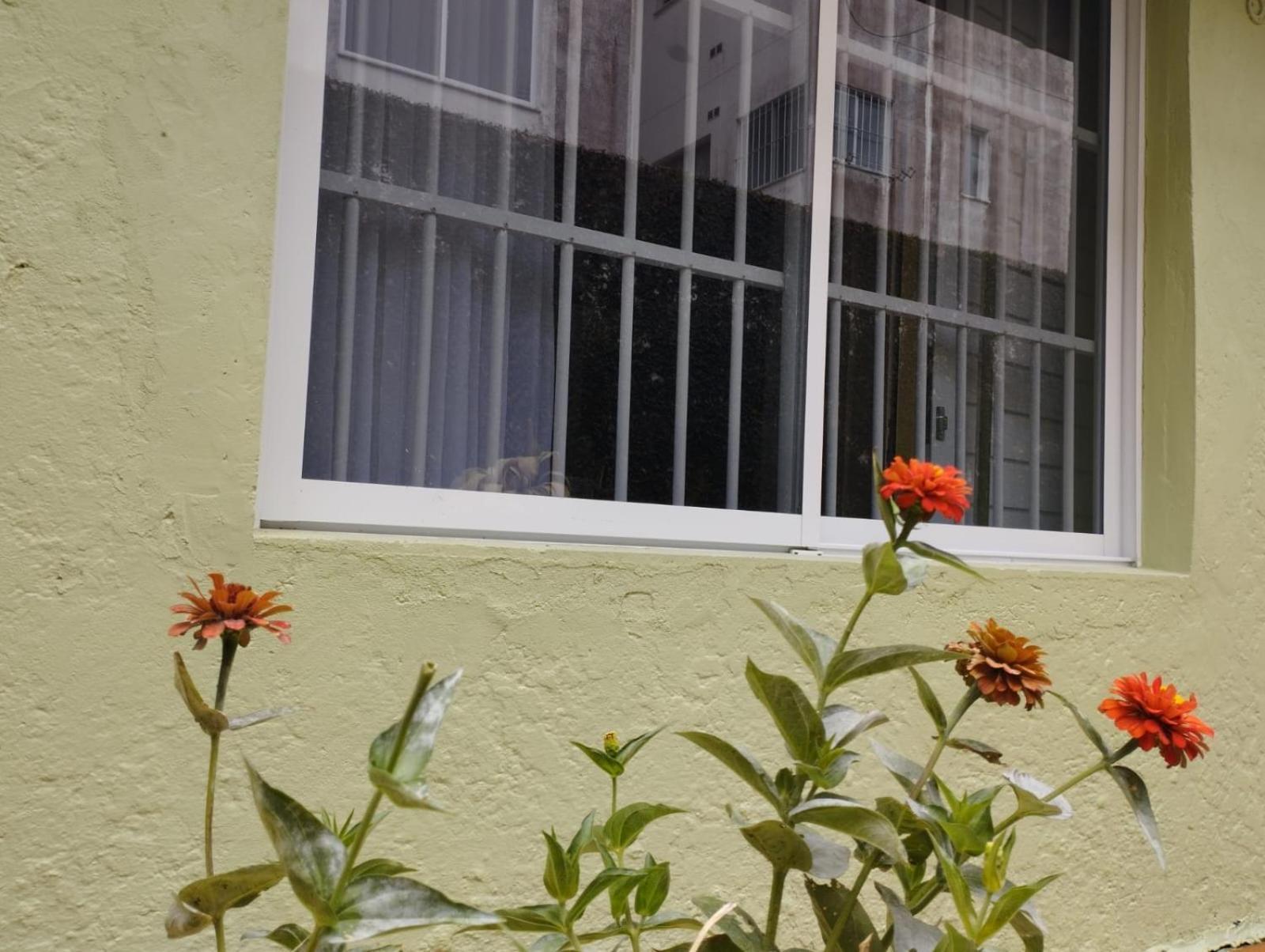 Charmoso Apto Com Clima De Casa Em Canasvieiras Florianópolis Eksteriør billede