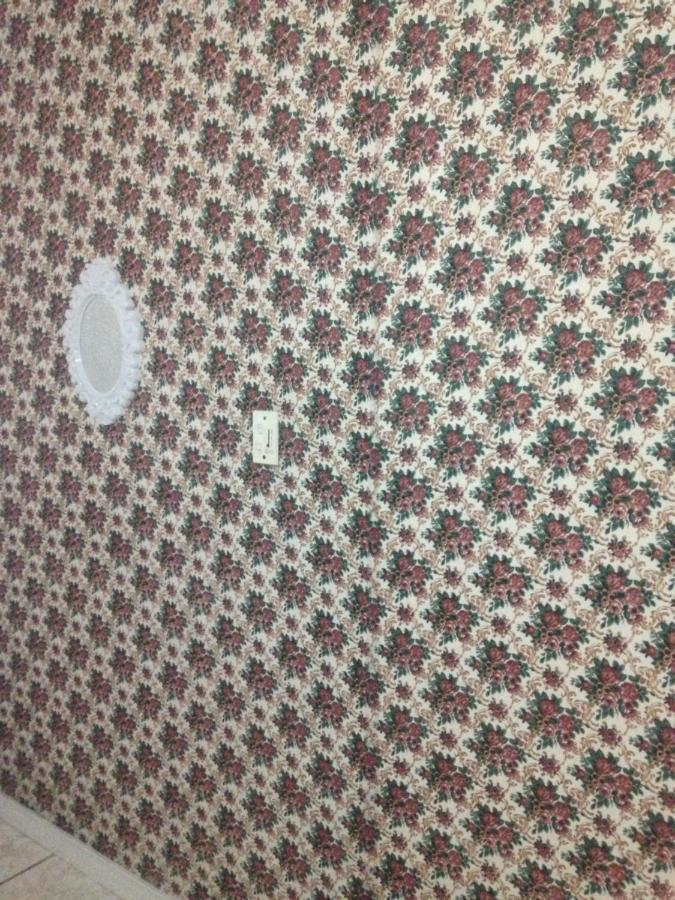 Charmoso Apto Com Clima De Casa Em Canasvieiras Florianópolis Eksteriør billede