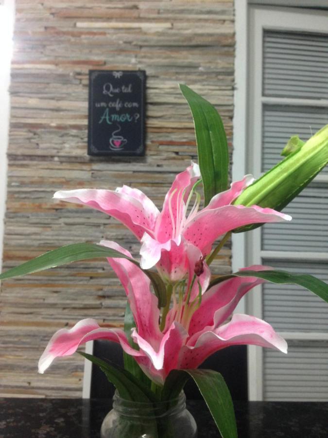 Charmoso Apto Com Clima De Casa Em Canasvieiras Florianópolis Eksteriør billede